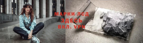стафф Алзамай