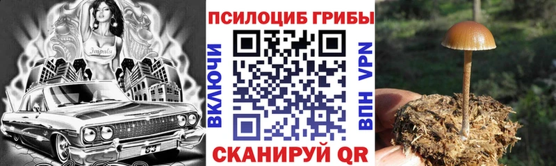Псилоцибиновые грибы Cubensis  Шуя 