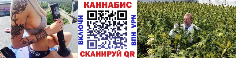 что такое Шуя mega tor Бошки Шишки планчик